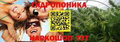гидропоника Чебоксары