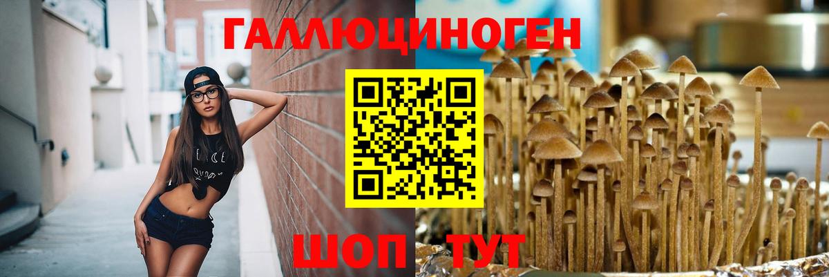 Псилоцибиновые грибы Cubensis Краснотурьинск